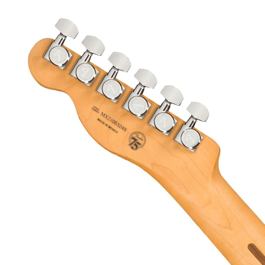 Fender（フェンダー） (WEBSHOPクリアランスセール)Fender / Player