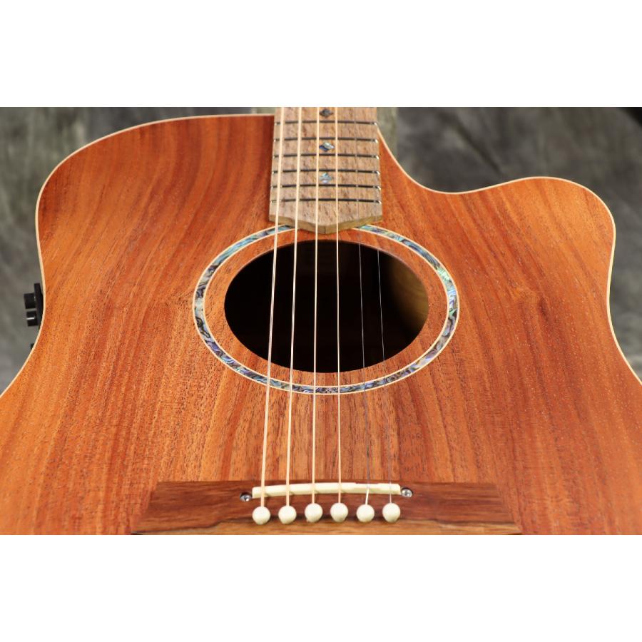 Cole Clark / FL Dreadnought CCFL2EC-BLBL Blackwood top back and 