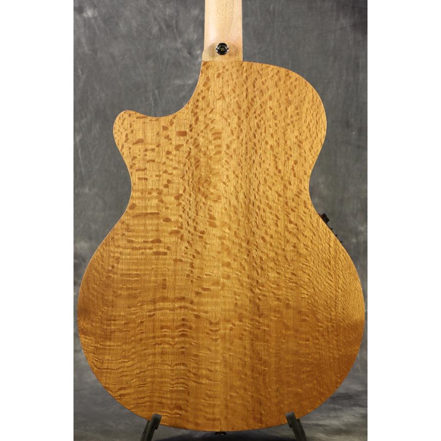 Cole Clark / AN Grand Auditorium Series CCAN1EC-BSO Bunya top Silky Oak back and sides  コールクラーク アコギ (実物画像)(S/N:230714203)｜ishibashi｜06