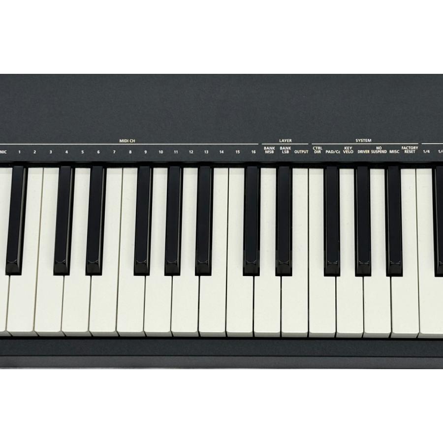 (中古)Roland ローランド / A-88MK2 88鍵盤MIDIコントローラー (デモ使用品)｜ishibashi｜03