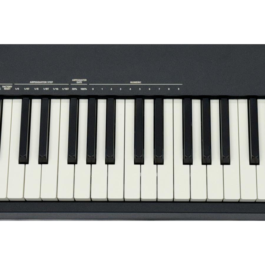 (中古)Roland ローランド / A-88MK2 88鍵盤MIDIコントローラー (デモ使用品)｜ishibashi｜04