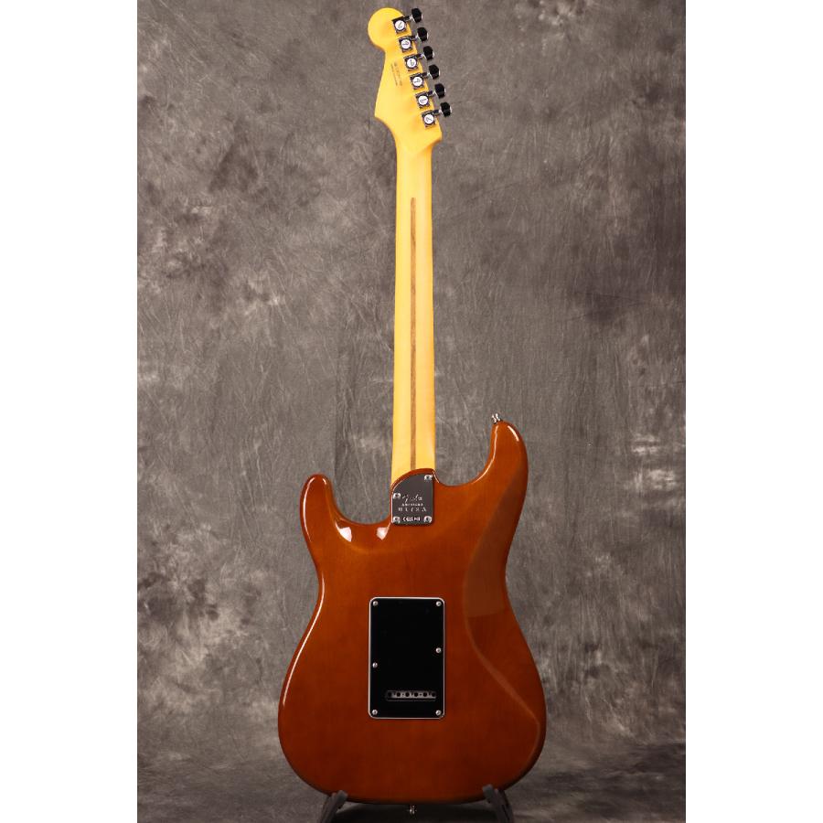 Fender (WEBSHOPクリアランスセール)Fender / Limited Edition Fender (WEBSHOPクリアランスセール)Fender / Limited Edition