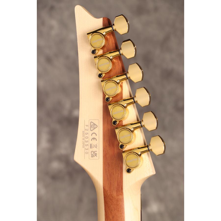 Ibanez（アイバニーズ） (WEBSHOPクリアランスセール)Ibanez