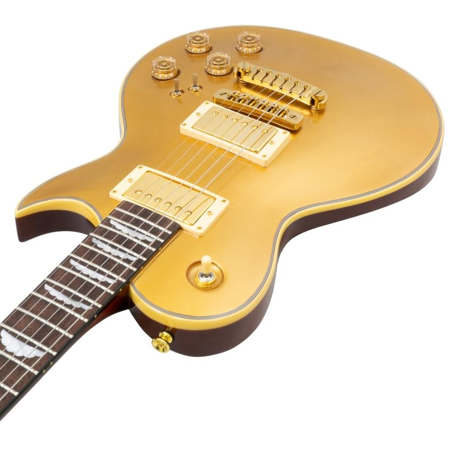Aria Pro II / PE-F80 LTD GDTP Goldtop イシバシ楽器限定販売(B級
