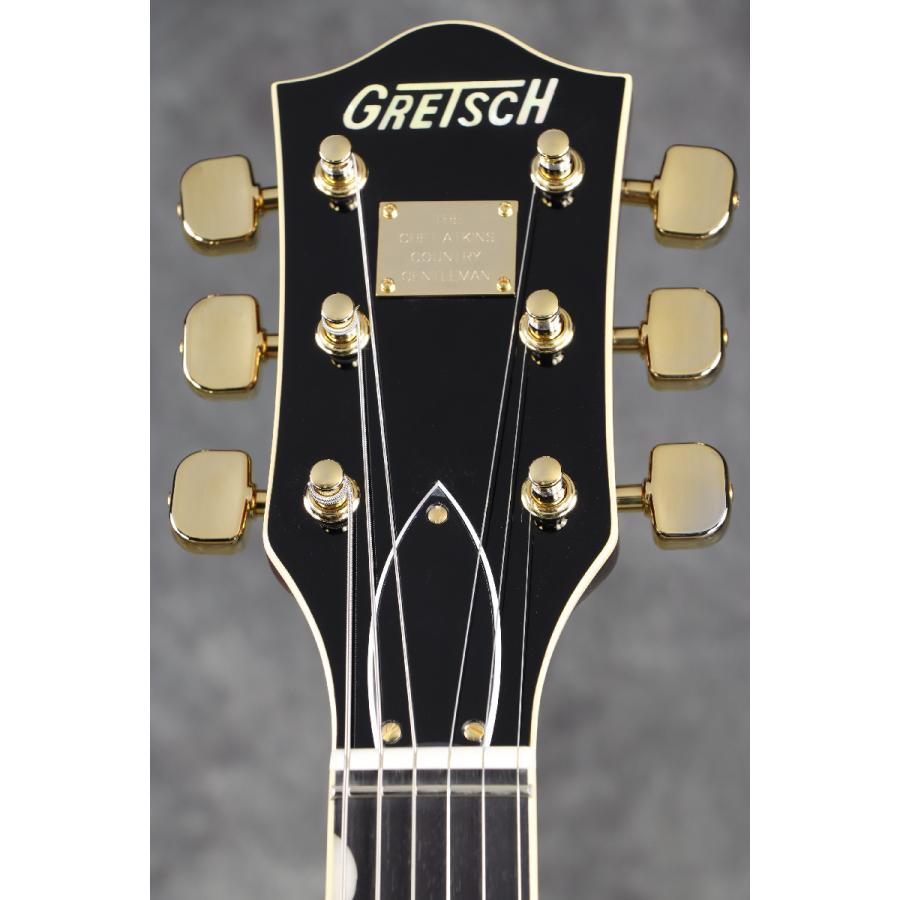 Gretsch / G6122T-59 VS Vintage Select Edition '59 Chet Atkins