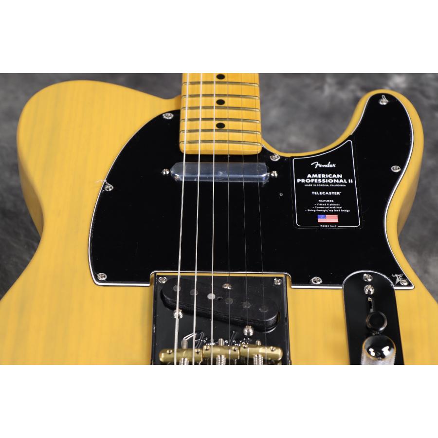 WEBSHOPクリアランスセール)Fender/ American Professional II