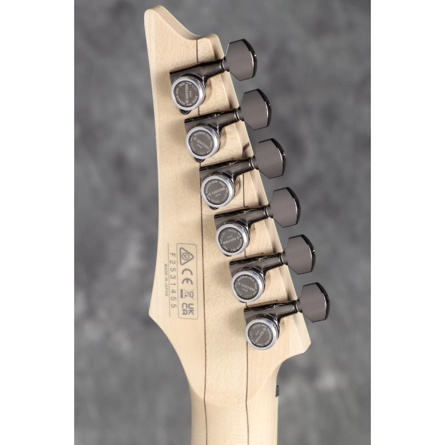 Ibanez / Prestige Series RG652AHMFX-RPB (Royal Plum Burst