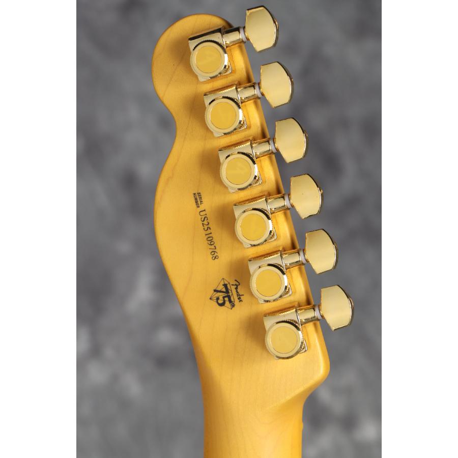 Fender / 75th Anniversary American Professional Custom Telecaster