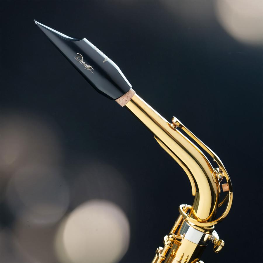 SELMER / Density デンシティ アルトサックス用 クラシック マウス
