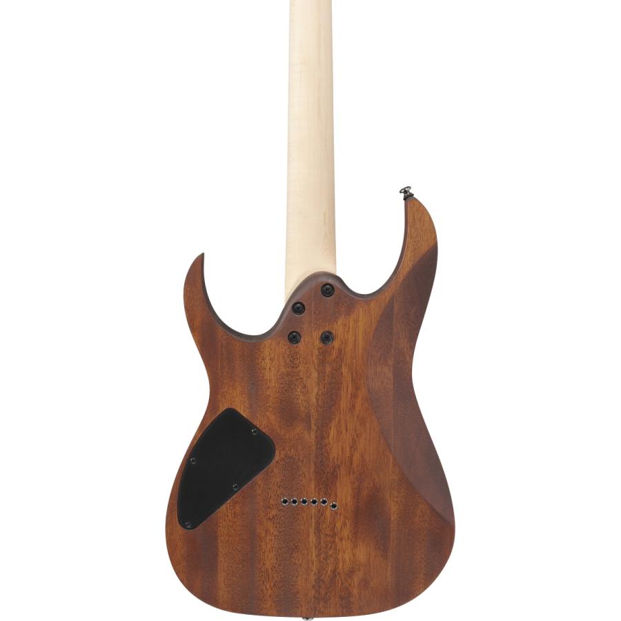 Ibanez（アイバニーズ） Ibanez / RG421-MOL (Mahogany Oil) (イシバシ