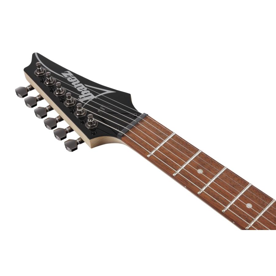 Ibanez（アイバニーズ） Ibanez / RG421-MOL (Mahogany Oil) (イシバシ