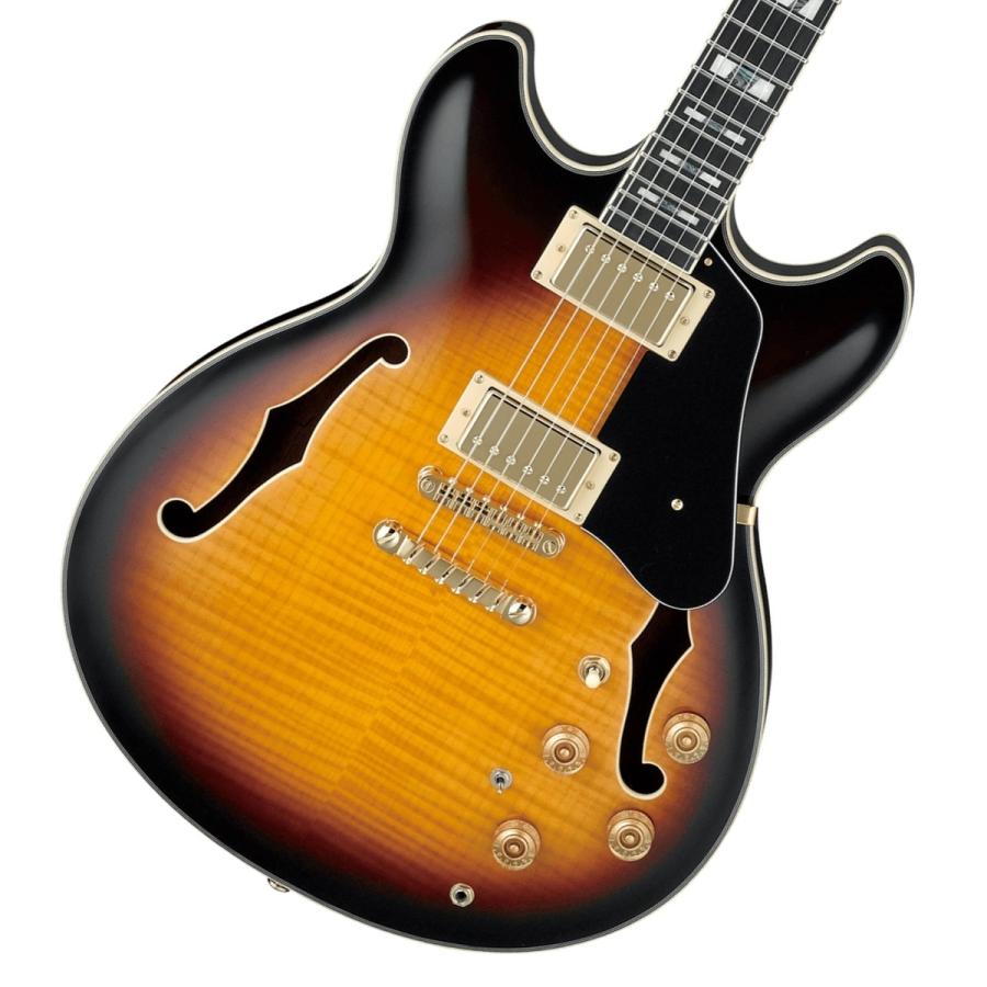 Ibanez（アイバニーズ） Ibanez / John Scofield Signature Model