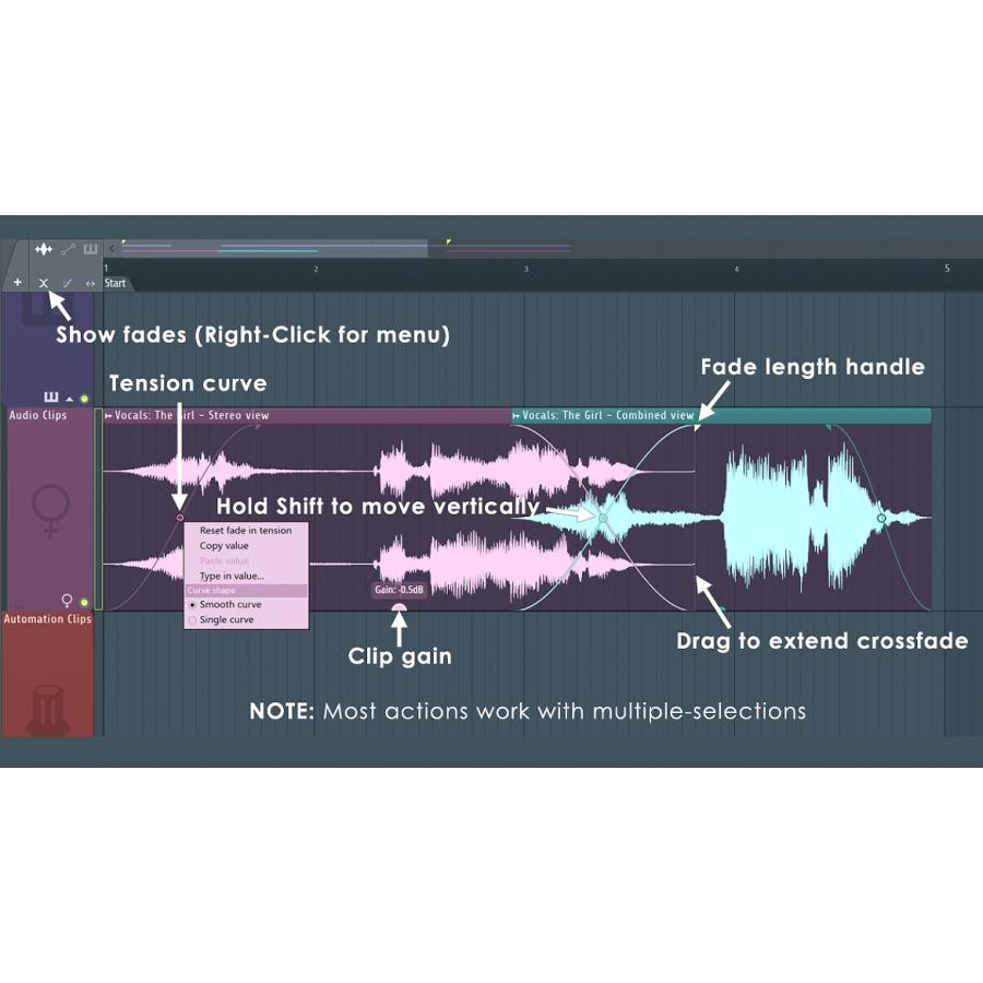 Image Line / FL Studio 21 Signature 解説本バンドル(国内正規品)(お取り寄せ商品)｜ishibashi｜04