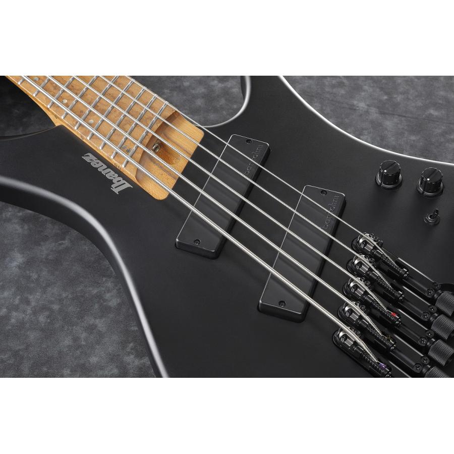 Ibanez（アイバニーズ） Ibanez / EHB1005MS-BKF エレキベース (Black