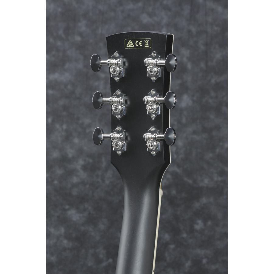 Ibanez（アイバニーズ） (お取り寄せ商品)Ibanez / PC14MHCE-WK