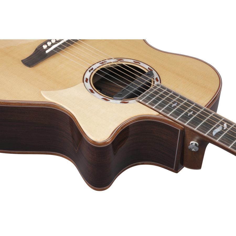 Ibanez（アイバニーズ） Ibanez / Marcin Patrzalek Signature Model