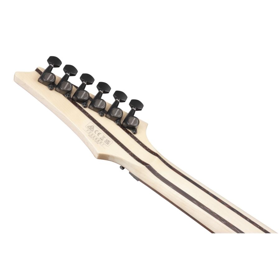 Ibanez（アイバニーズ） Ibanez / j.custom Axe Design Lab RG8870-AGT