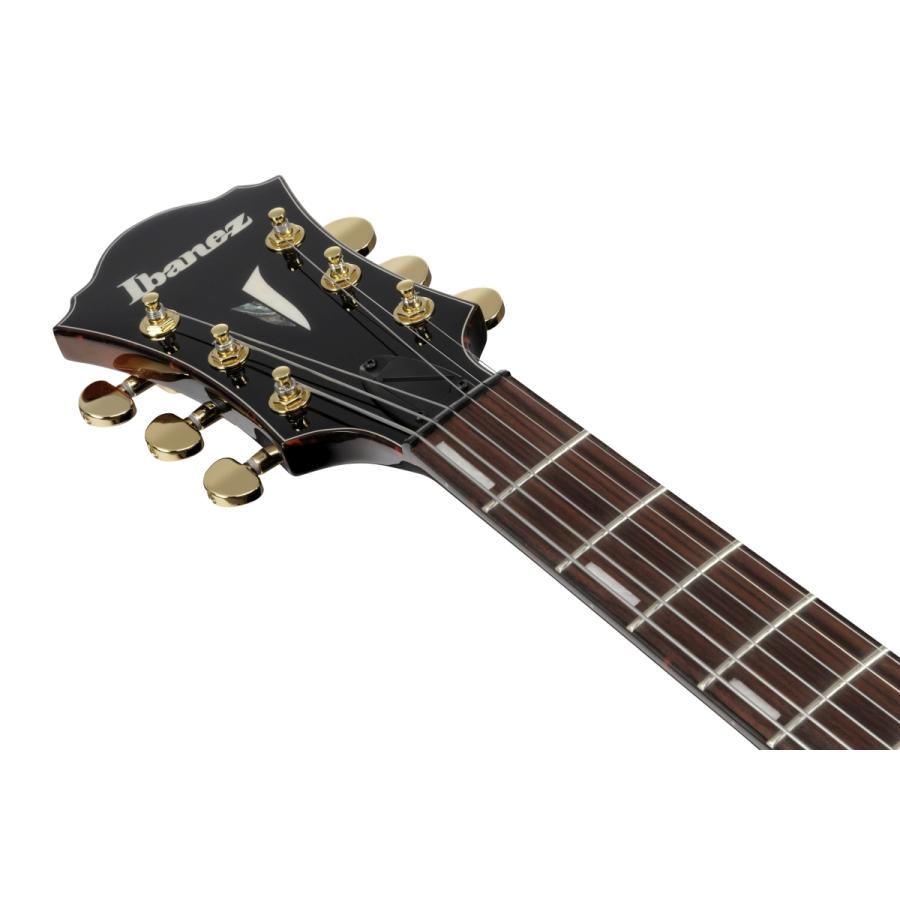 Ibanez（アイバニーズ） (WEBSHOPクリアランスセール)Ibanez / Artcore