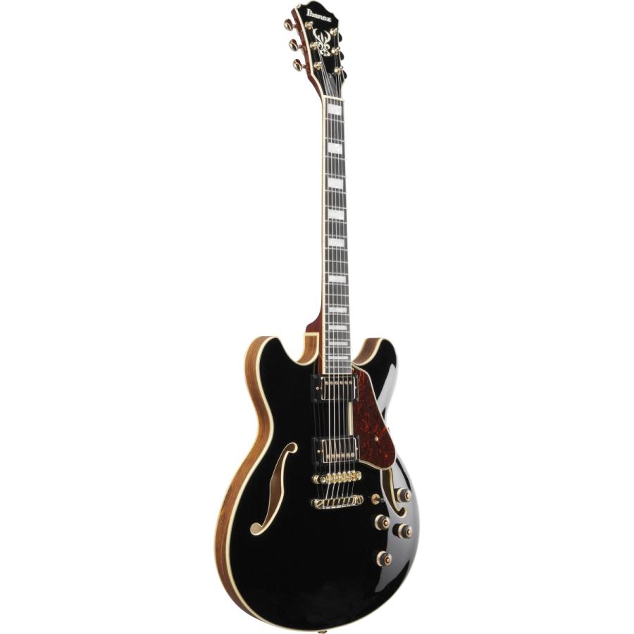 Ibanez（アイバニーズ） Ibanez / Artcore Expressionist AS93BC-BK