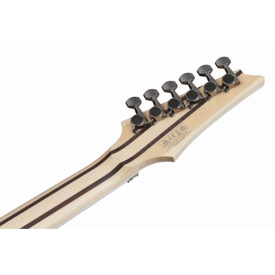 Ibanez / RG5120ML-FCN (Frozen Ocean) アイバニーズ エレキギター