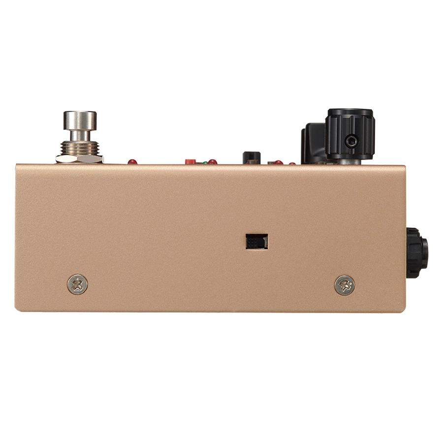 FREE THE TONE / FF-1Y FUTURE FACTORY RF PHASE MODULATION DELAY