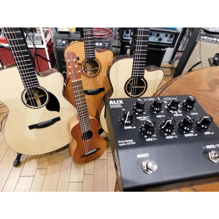Grace Design / ALiX Black Instrument Preamp/EQ/DI アコースティック