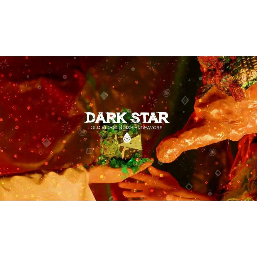 Blood Noise Endeavors / Dark Star V3 Black Stereo Soundscape 【station】 Reverb リバーブ(YRK)