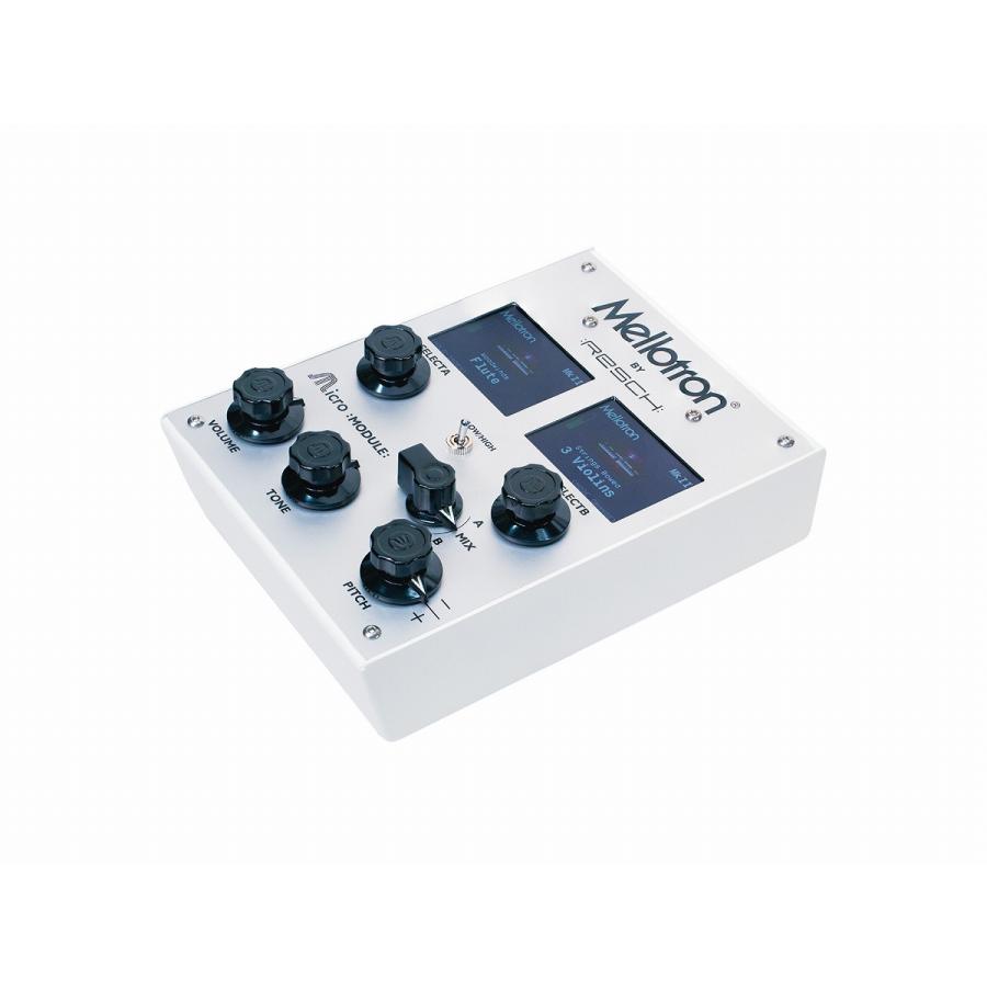 Mellotron / Mellotron Micro Module(お取り寄せ商品)_2