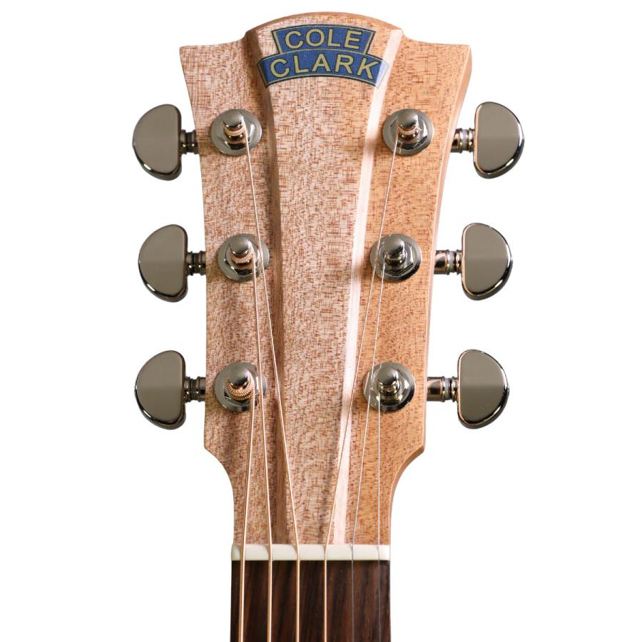 Cole Clark / FL Dreadnought Series CCFL2EC-BMR-ANVSY Bunya