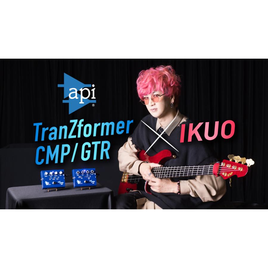 ベース用イコライザー＆ブースター) api / TranZformer LLX ベース