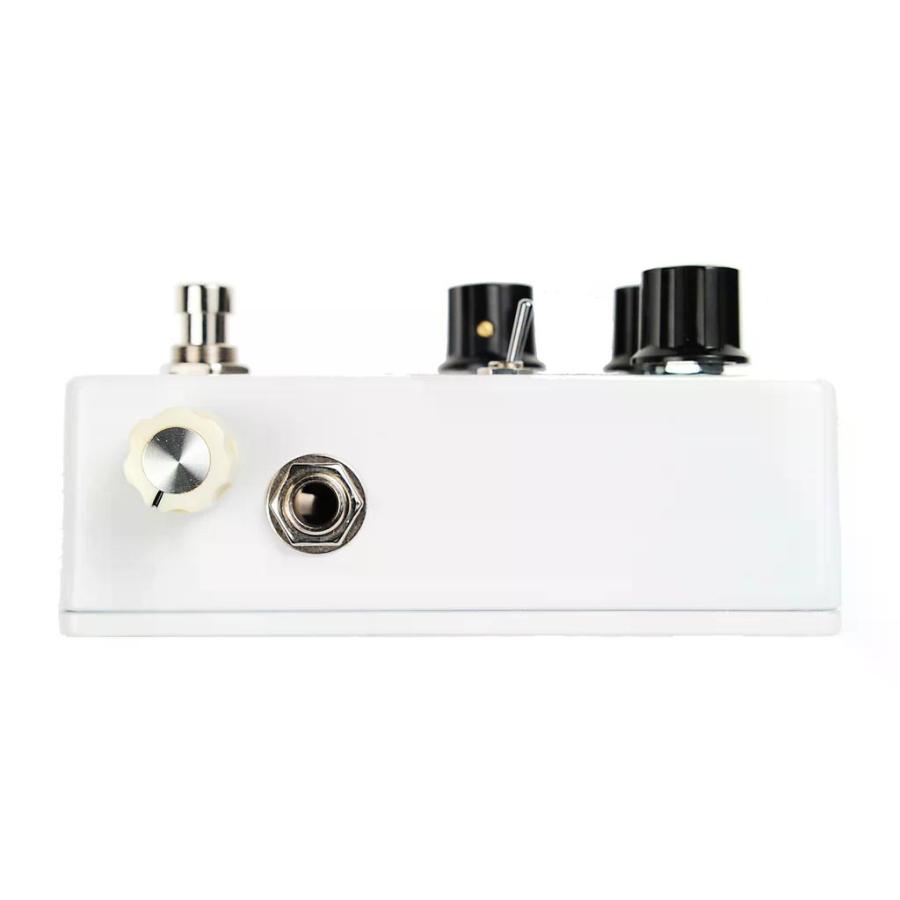 ELECTROGRAVE / RIPPER FUZZ DRY BLEND RFDB-1 ファズ