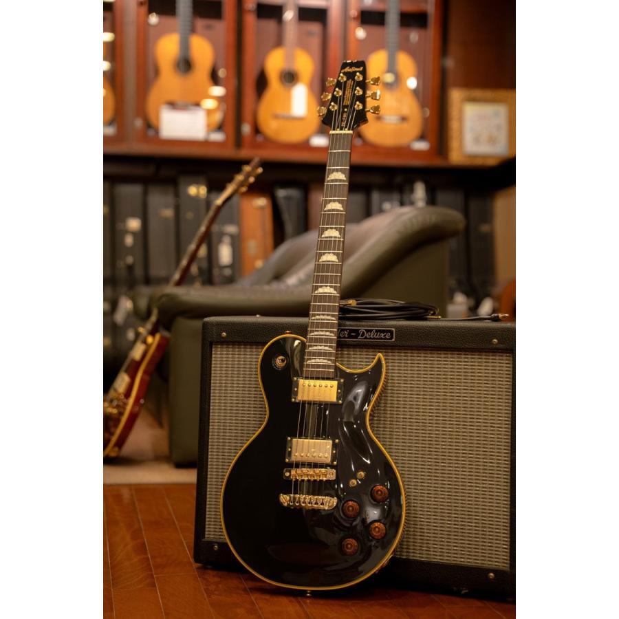 ARIA(楽器) Aria Pro II / PE-F80 LTD (Limited) BKTP ARIA(楽器) Aria Pro II / PE-F80 LTD (Limited) BKTP