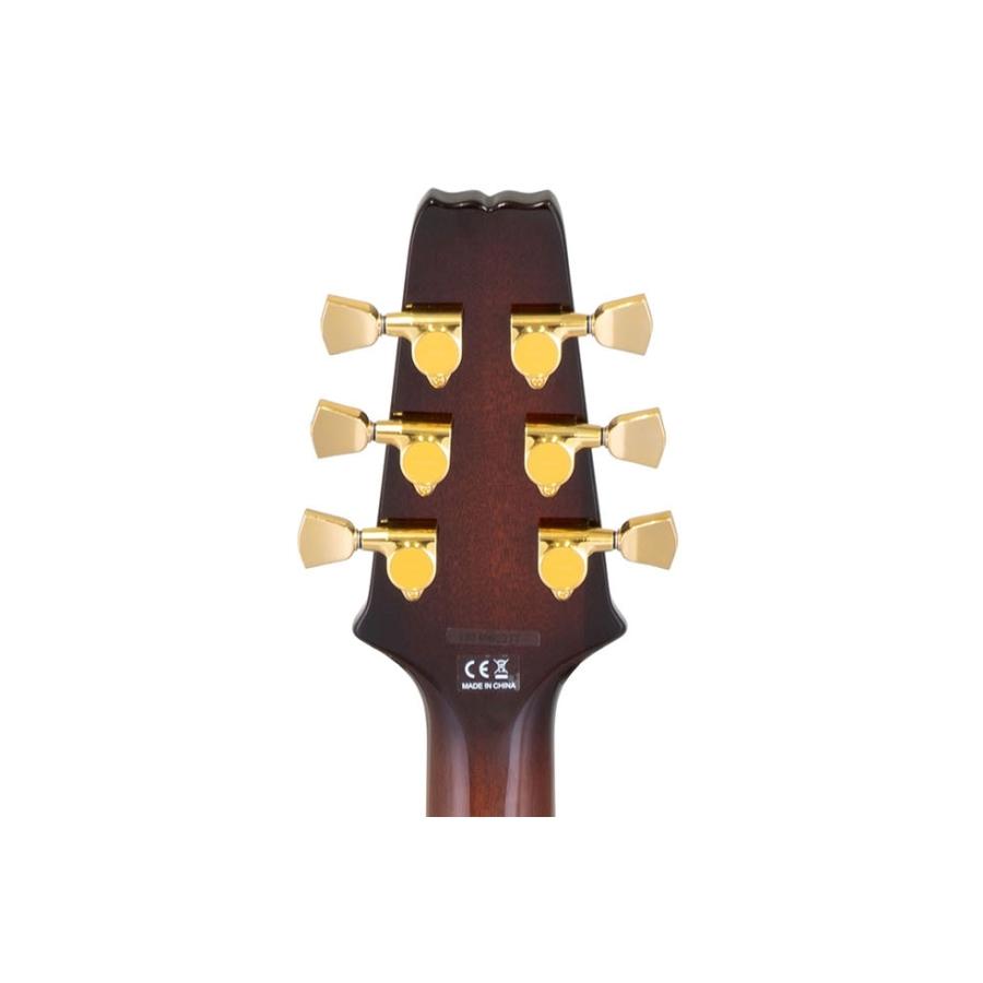 ARIA(楽器) Aria Pro II / PE-F80 LTD (Limited) BKTP ARIA(楽器) Aria Pro II / PE-F80 LTD (Limited) BKTP
