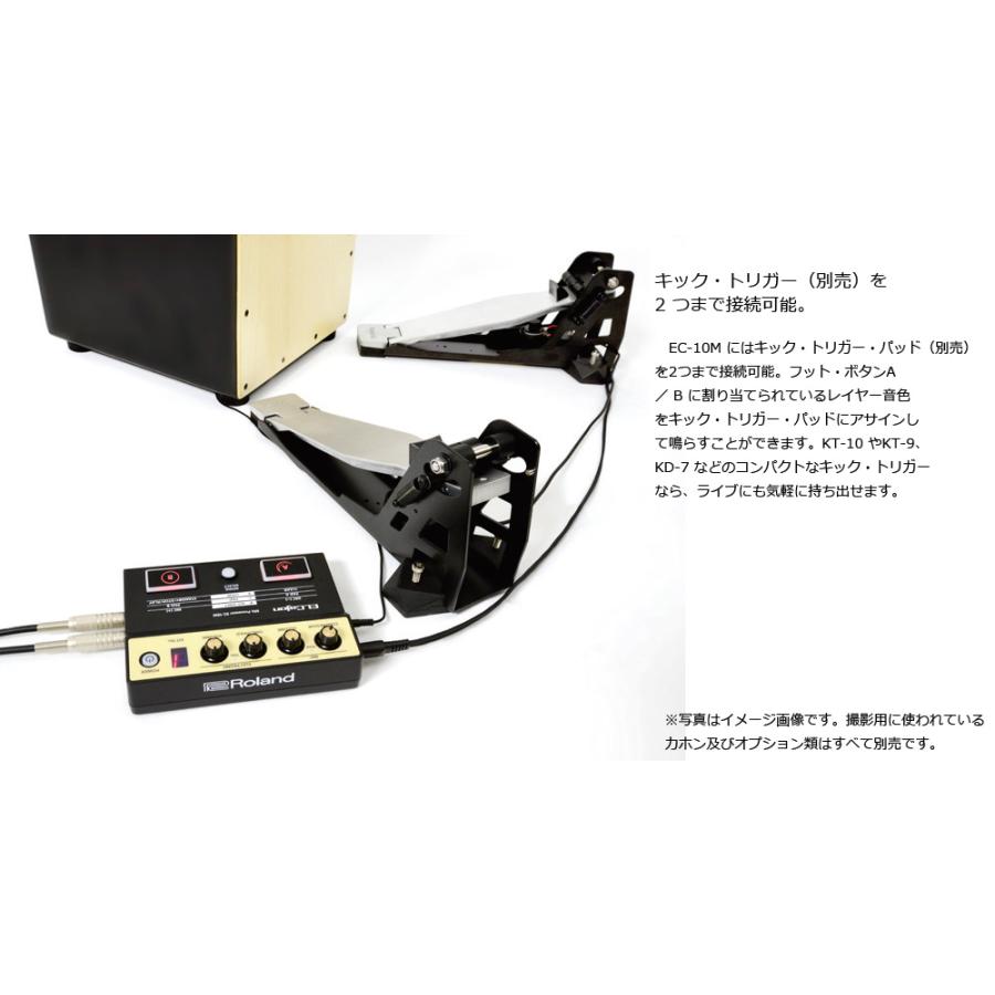 Roland / EC-10M ローランド エルカホン マイクプロセッサー(お取り寄せ商品)(YRK)｜ishibashi｜04