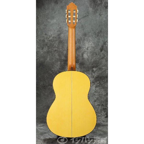 YAMAHA（ヤマハ） (在庫有り)YAMAHA / CG182SF フラメンコ クラシック