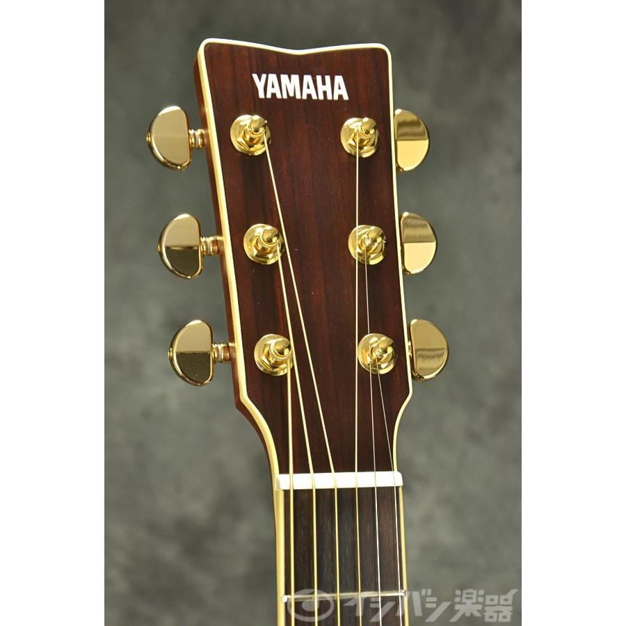 YAMAHA（ヤマハ） (在庫有り)YAMAHA / LJ6 ARE NT(ナチュラル)(専用