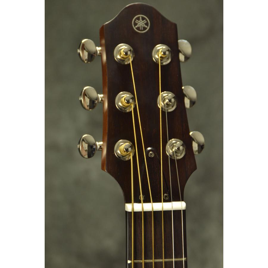 YAMAHA（ヤマハ） (在庫有り)YAMAHA / SLG200S TBS(タバコブラウンサン