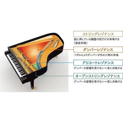 (全国組立設置無料)CASIO / GP-310BK 黒木目調仕上げ 電子ピアノ(特典品+ケアSETプレゼント)(代引不可)(メーカー3年保証)(YRK)(PTNB)_7