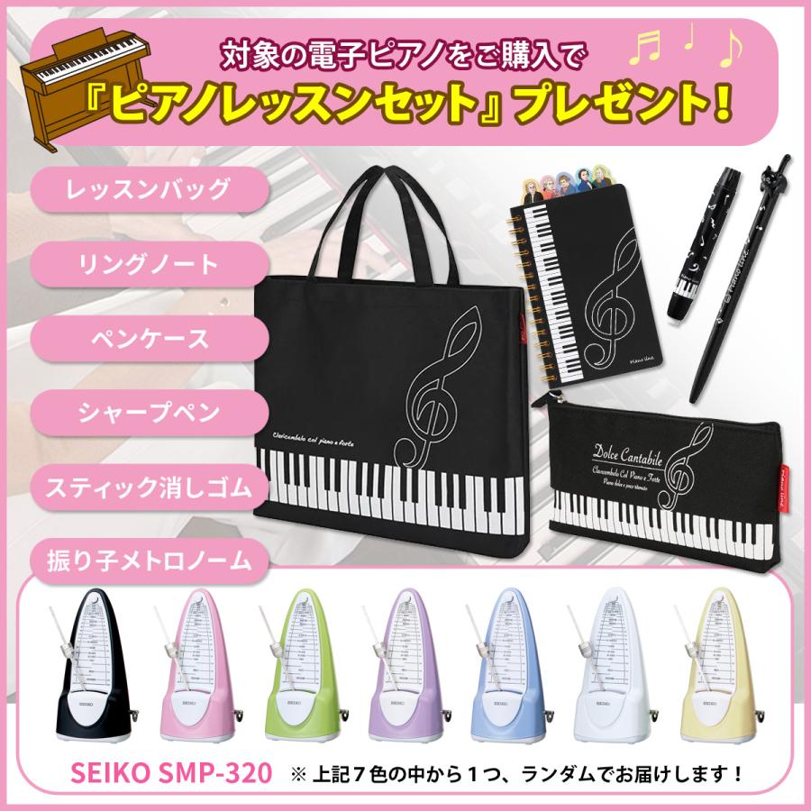 (全国組立設置無料)CASIO / AP-550BK ブラックウッド調 電子ピアノ(レッスン+ケアSETプレゼント)(代引不可)(メーカー3年保証)(YRK)(PTNB)｜ishibashi｜02