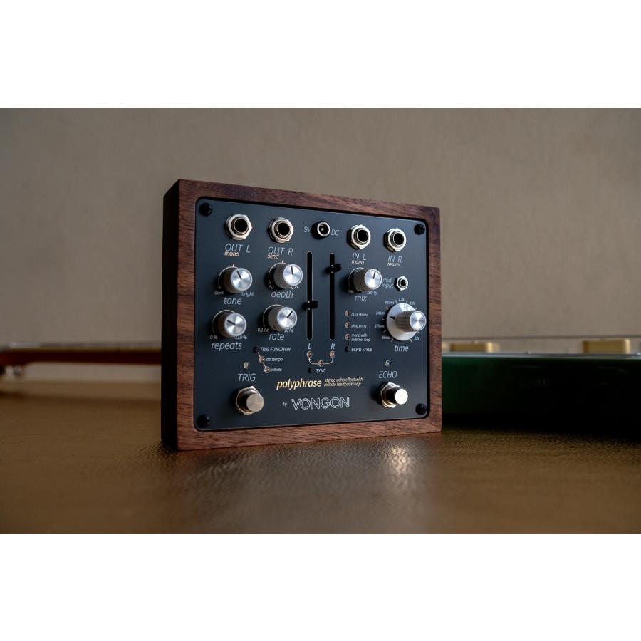 70年代初期プロトデジタルディレイから着想/ステレオディレイ・ループ