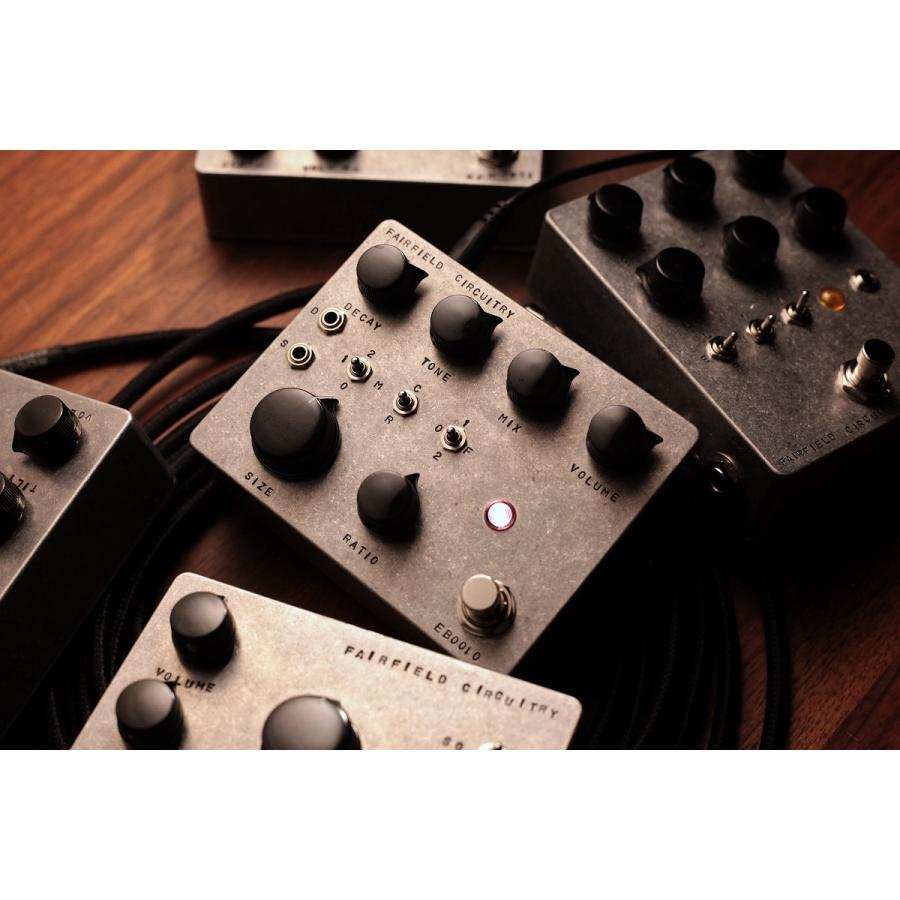 Fairfield Circuitry / Placeholder Bucket Brigade Reverb アナログ