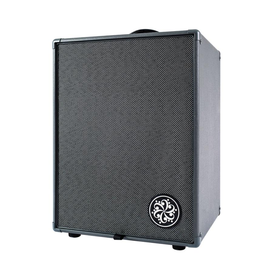 Darkglass Electronics / Infinity 500 Combo 210 DG210D 500W 500ワット ベース用 コンボアンプ ダークグラス_3