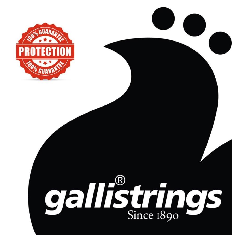 Gallistrings / AGB1152 Light Special 80/20 Bronze アコースティックギター弦 .011-.052(イタリア製)｜ishibashi｜02