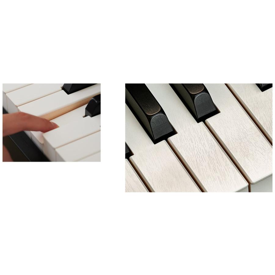 CASIO（カシオ） (全国組立設置無料)CASIO/AP-S450BN ローズウッド調 