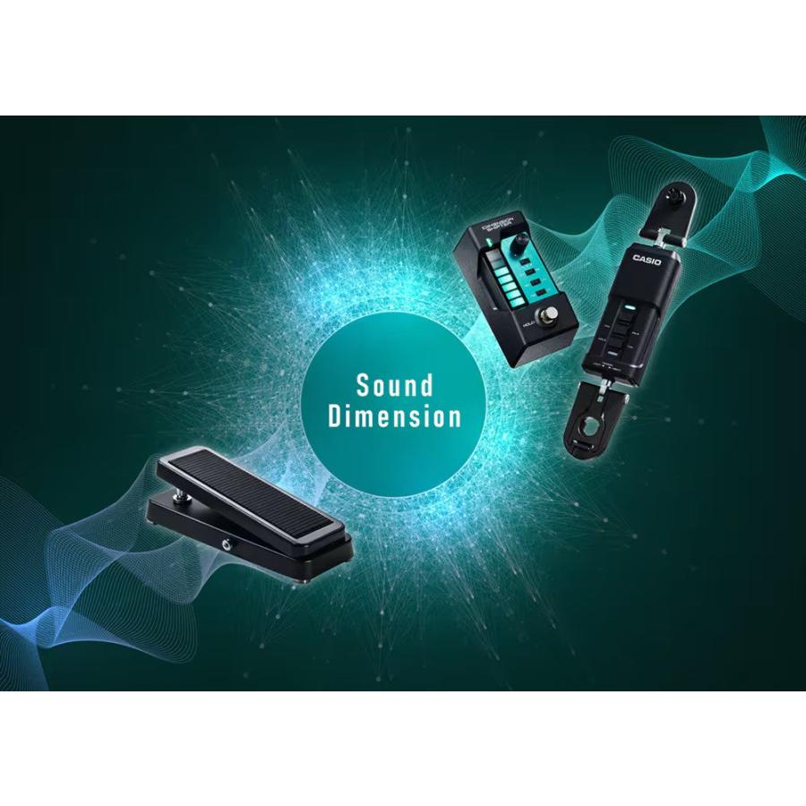 (専用アダプター同時購入セット) CASIO / DN-SE10 DIMENSION SHIFTER + 専用ACアダプター(AD-0913S) エクスプレッションコントローラー カシオの画像