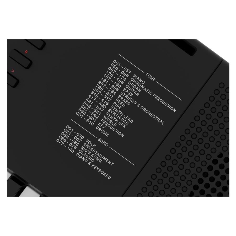 ローランド（Roland） ローランド / E-X10 [背負えるキャリング