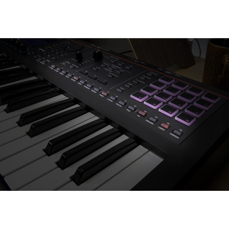 ローランド（Roland） Roland/FANTOM-06(ダンパーペダルDP-10+ケーブル