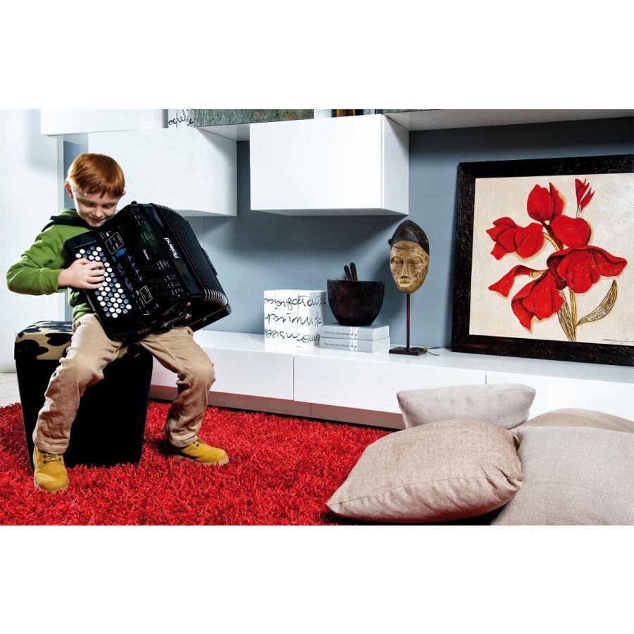 ローランド（Roland） ローランド / V-Accordion FR-1XB BK(純正ケース