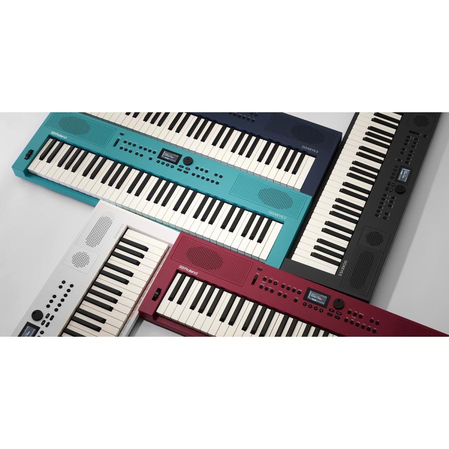 Roland GO:KEYS3 GOKEYS3-MU 純正電源・ケース付き！ Roland - GO:KEYS 3 | Music Creation Keyboard