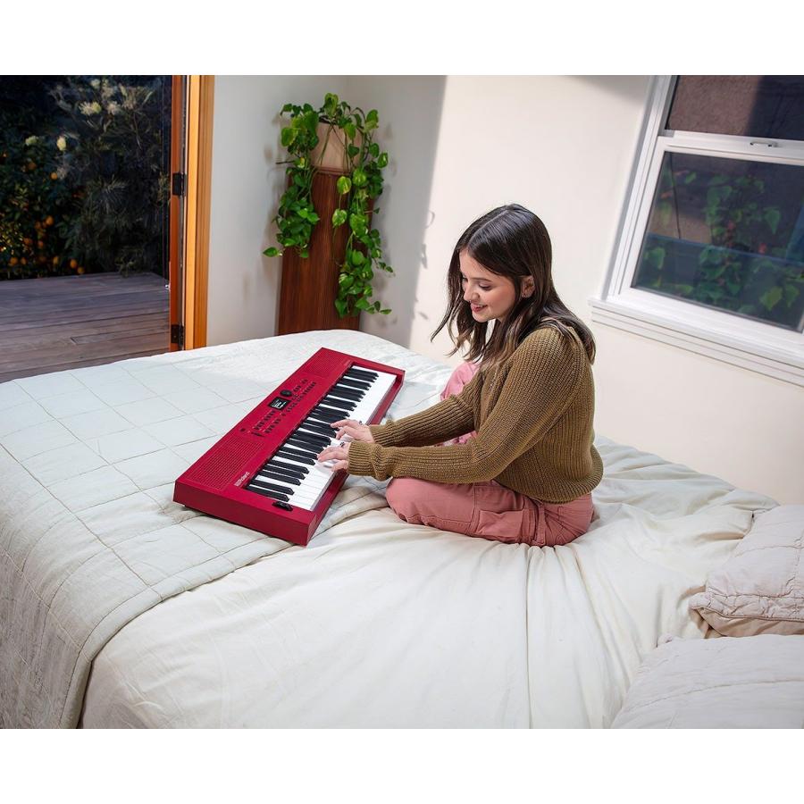 美品　Roland GOKEYS3-RD ダンパーペダル&ケース付 Amazon | Roland ローランド / GOKEYS3-TQ [背負えるキャリング